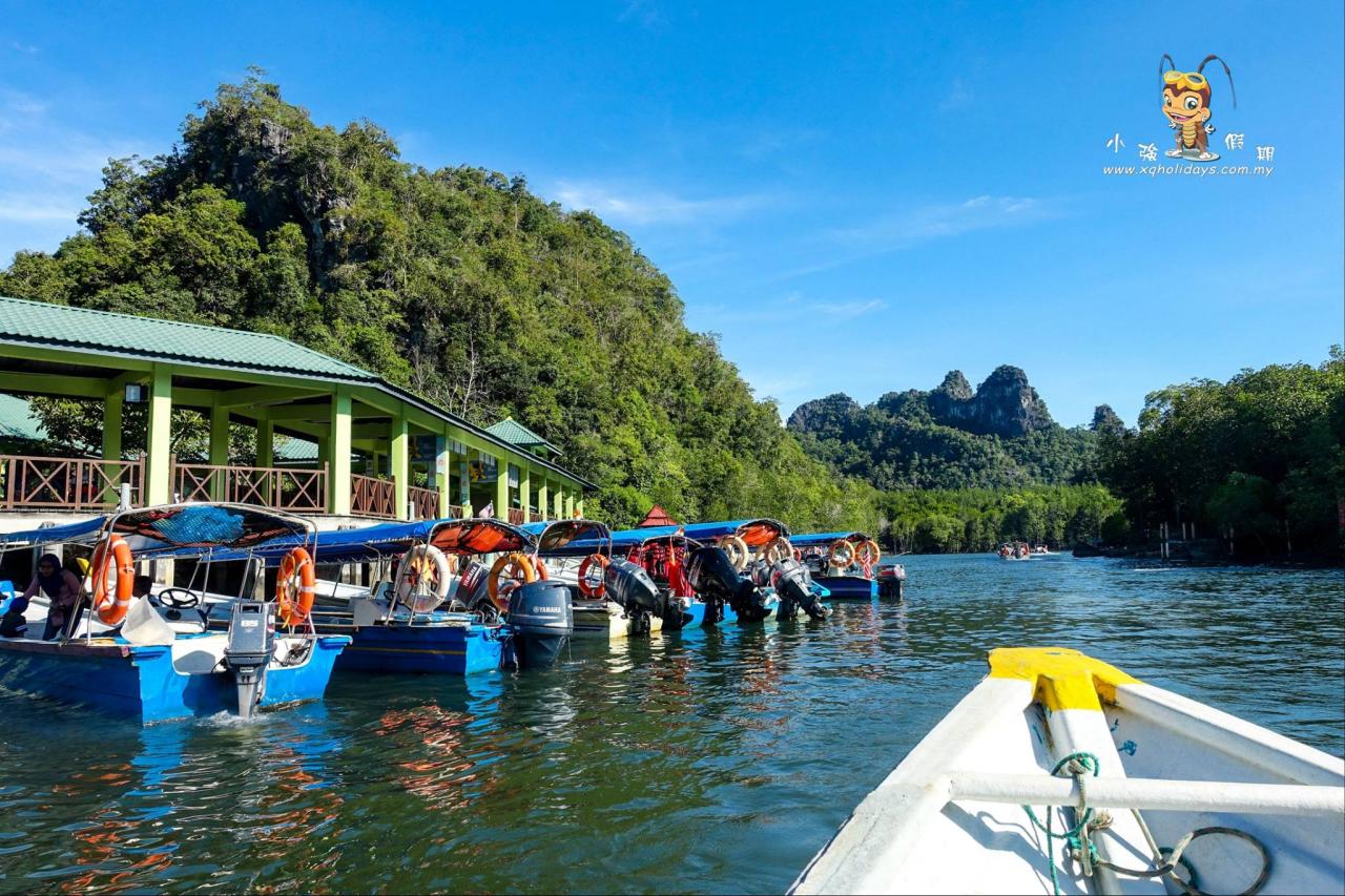 Jelajahi Mangrove Langkawi: Tur Alam yang Menakjubkan